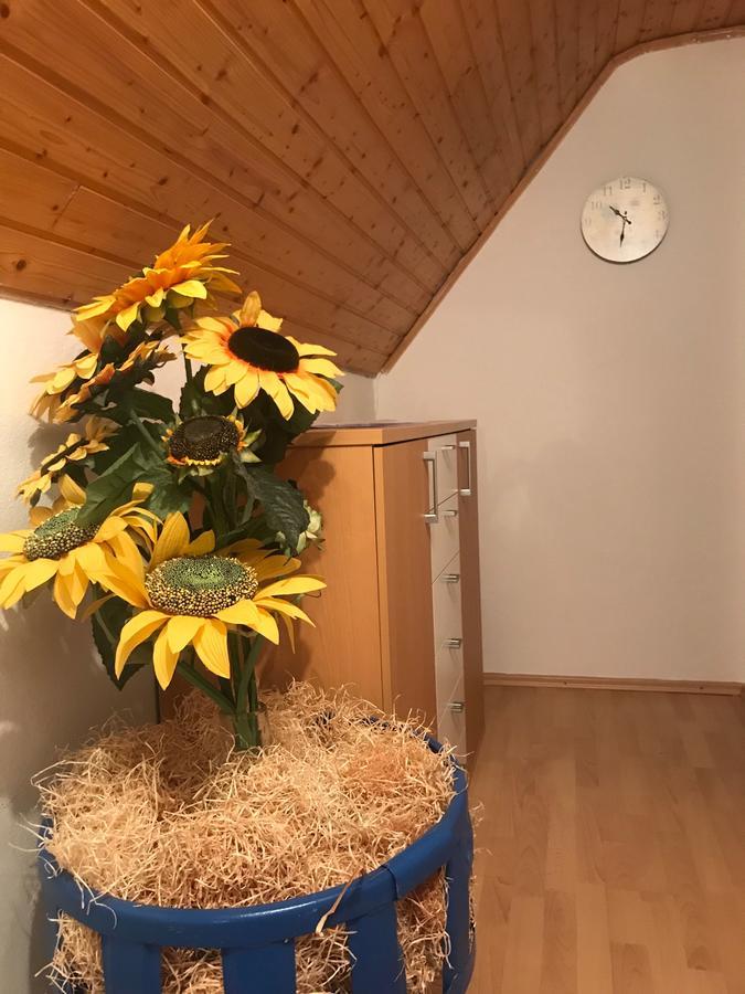 Appartement Kogelhuber à Possnitz Extérieur photo